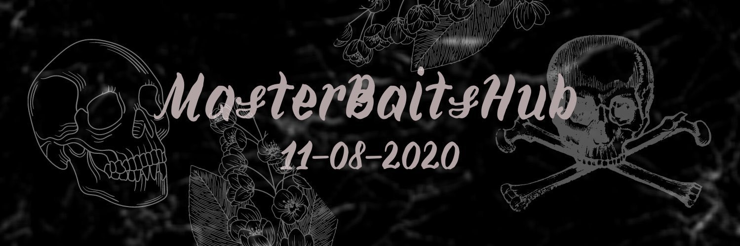 MasterBaitsHub's profile banner image