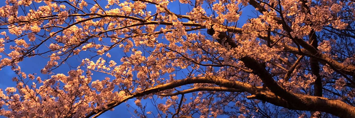 Hig_lley's profile banner image