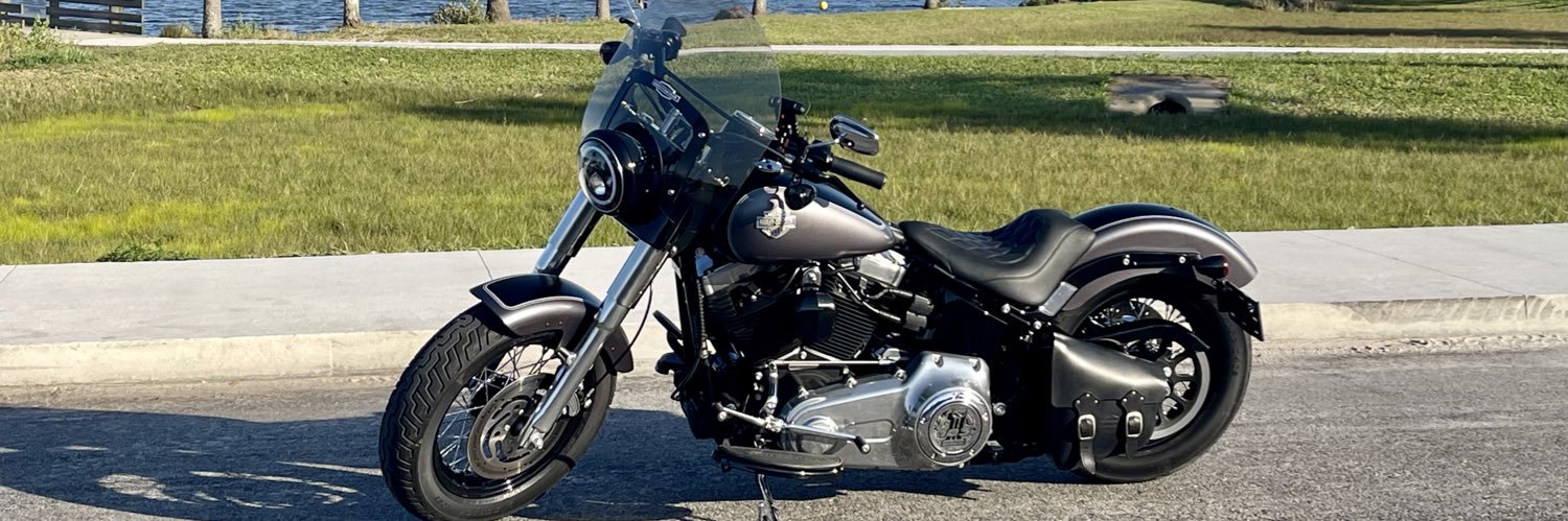 Silver 🇺🇸 banner