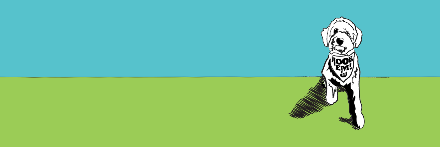 Meghan Brindley Marriott banner