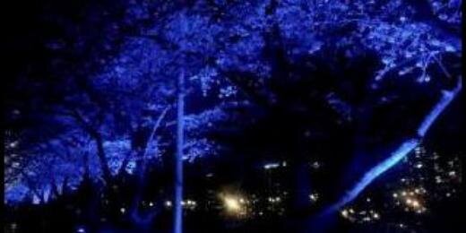 ELF061105's profile banner image
