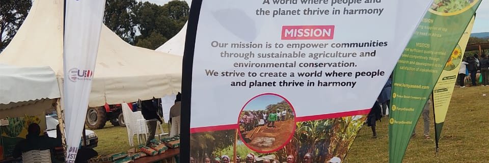 Indigenous Women and Girls Initiative banner