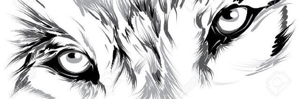 srkathiir Profile Banner