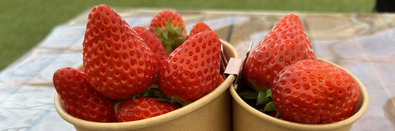 みんまる🍙 banner