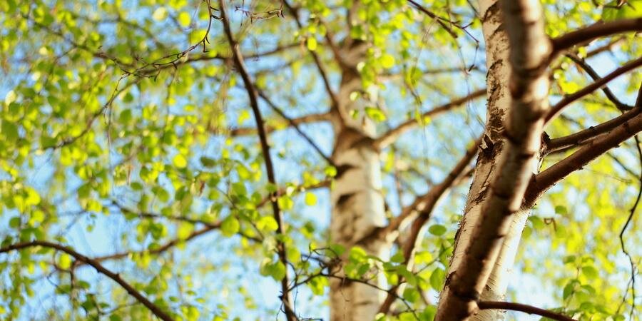 yulia_l95's profile banner image