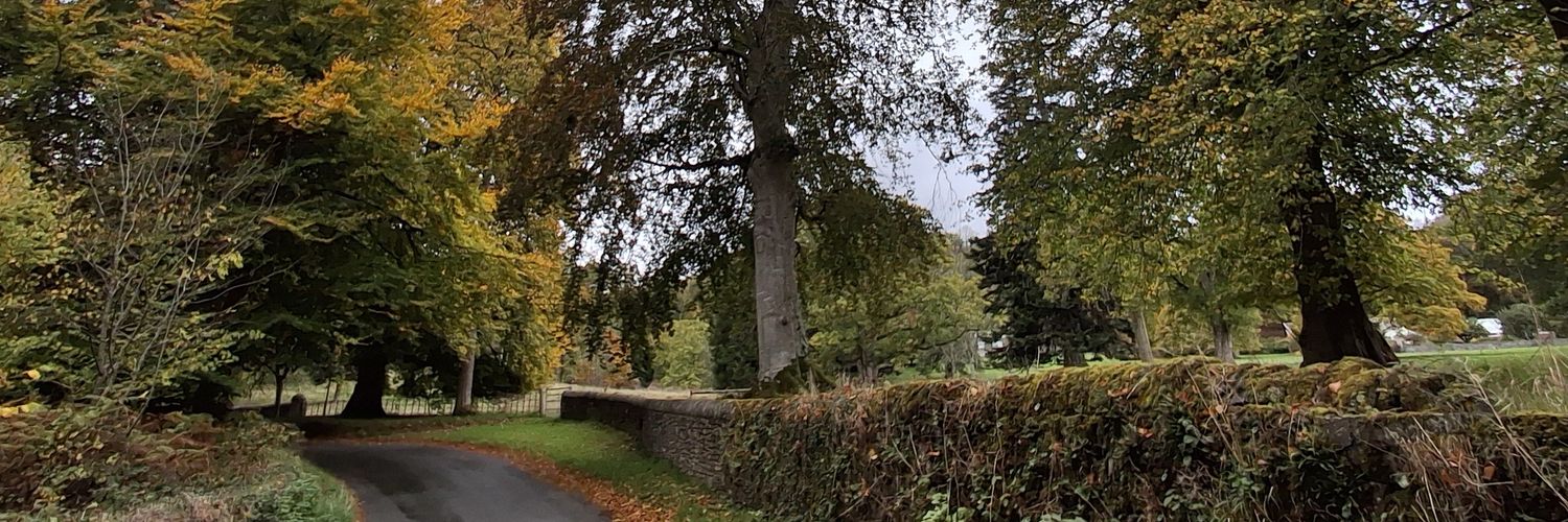 Amanda Giles Author banner