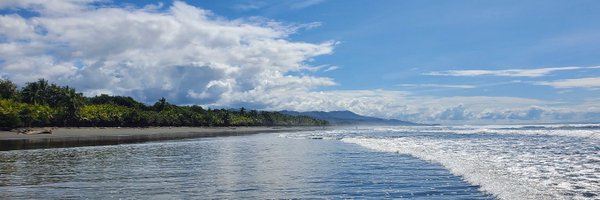 mattsinla Profile Banner