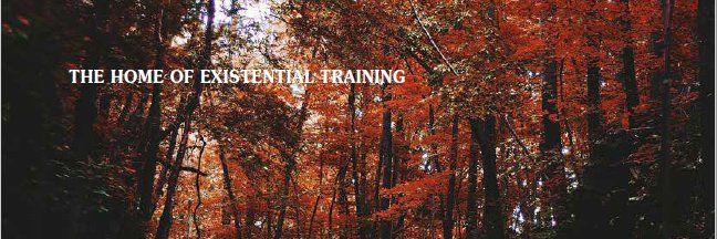 Diversity Studies banner