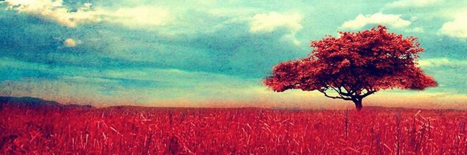 HOSO RMT 🏹💚 banner