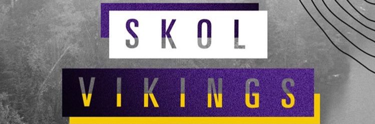 North Devon Vikings banner