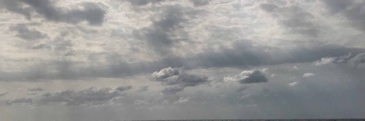 reemi_a's profile banner image