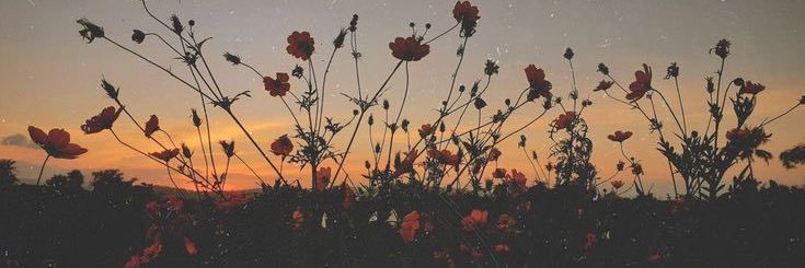 Natalie Casanova banner