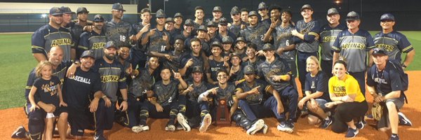 STA_Baseball Profile Banner