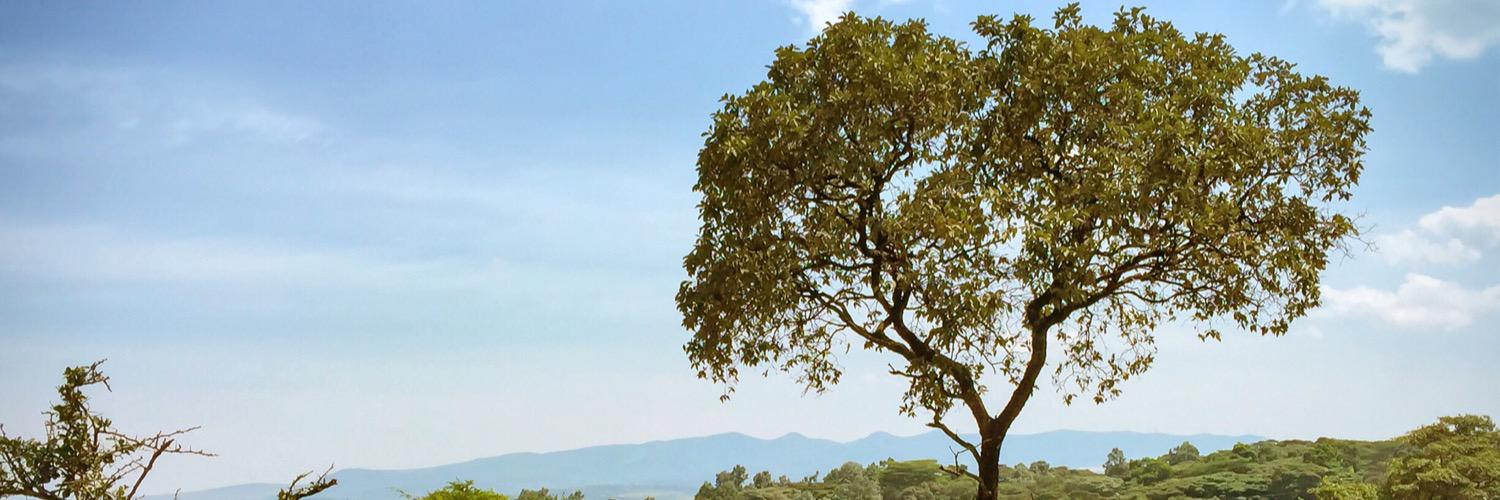 TroyClt's profile banner image