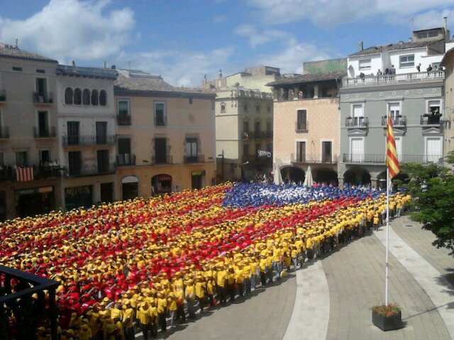 Toni Palmés (tantes vegades com calgui) banner