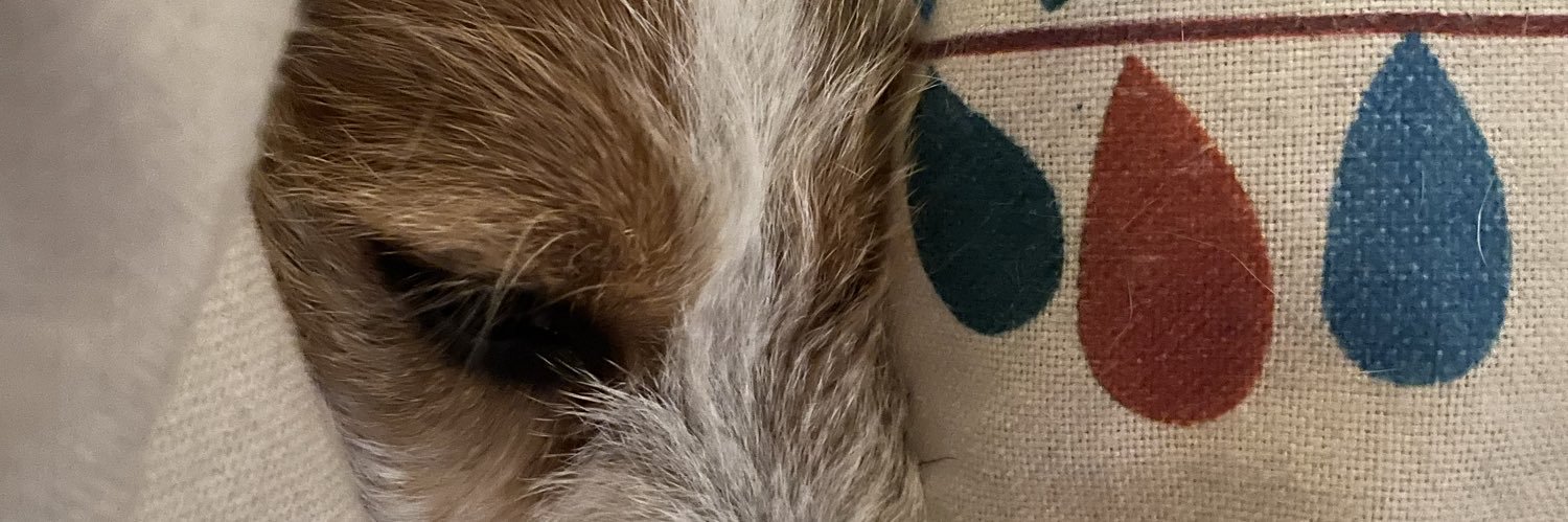 Bettina Krischbin banner