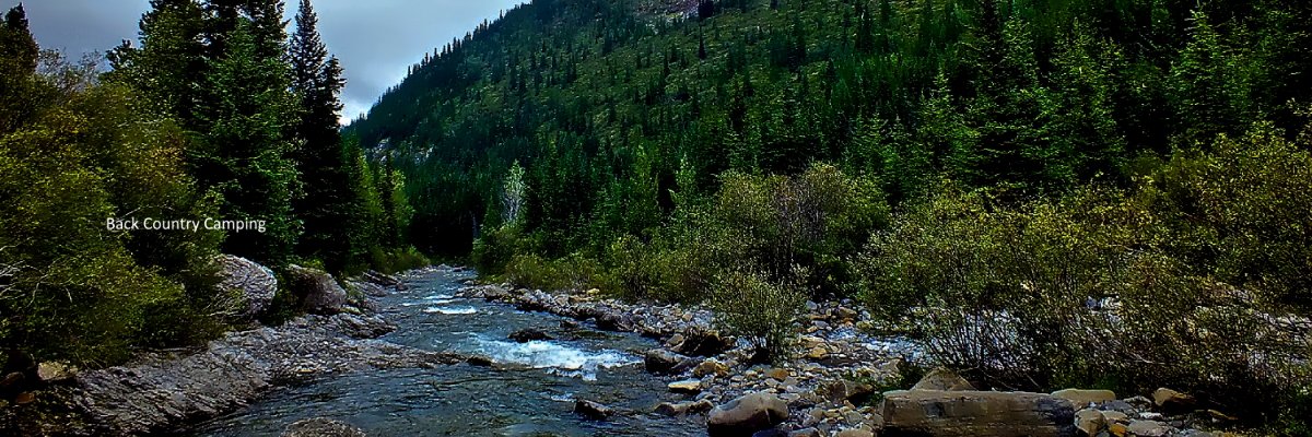 Dennis Cambly banner