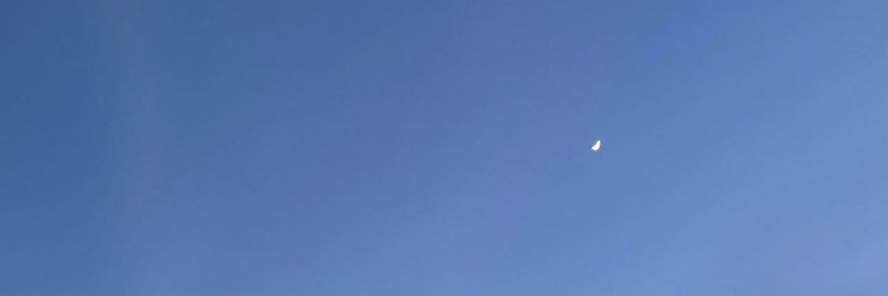 tiu banner