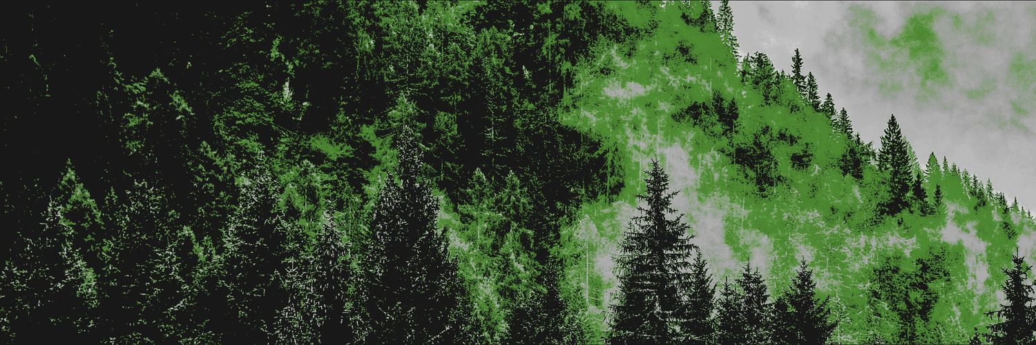 paintkvller's profile banner image