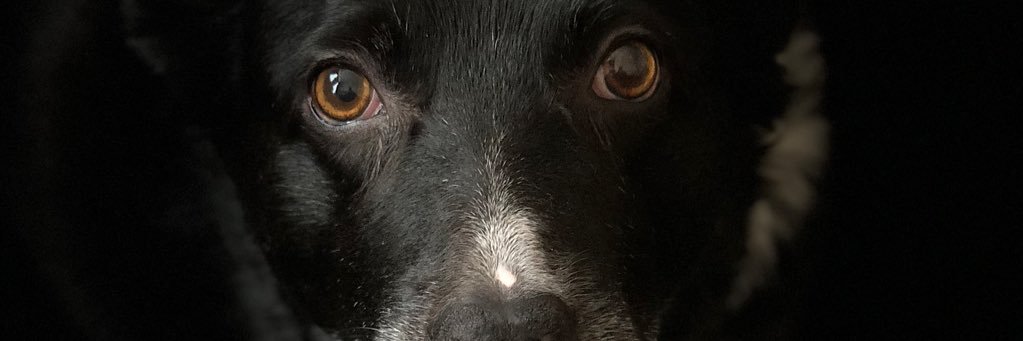 bdu77y's profile banner image