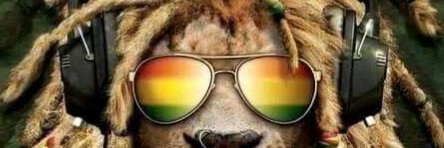 Jam Papa banner