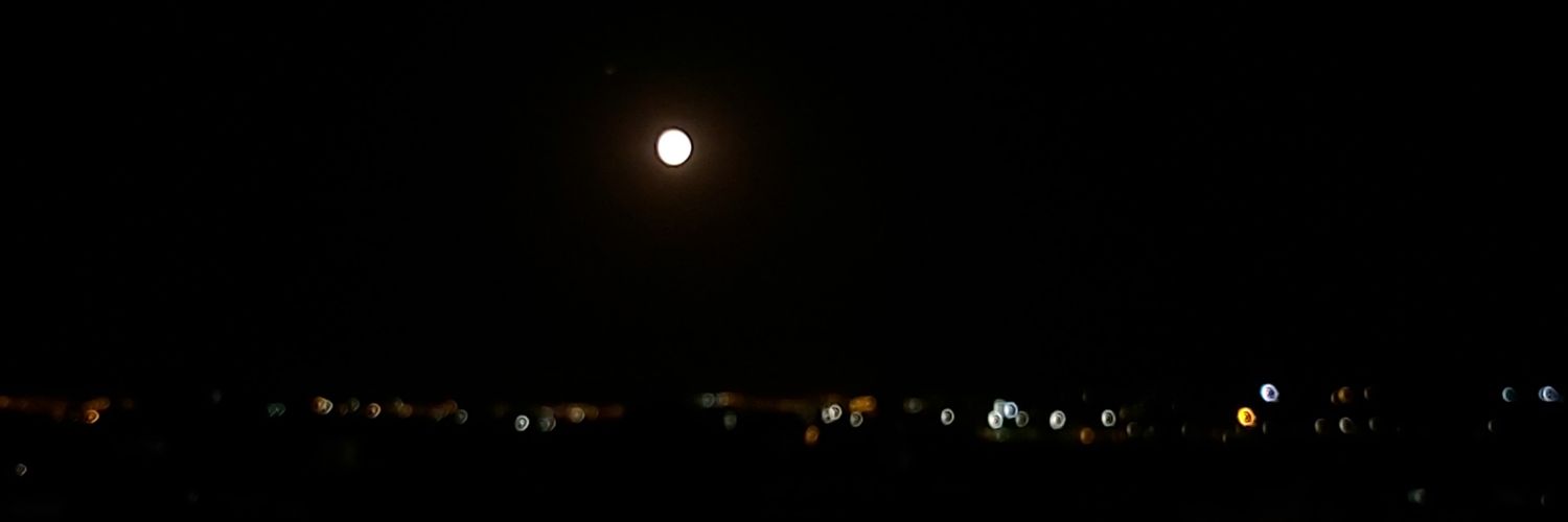gcaracena's profile banner image
