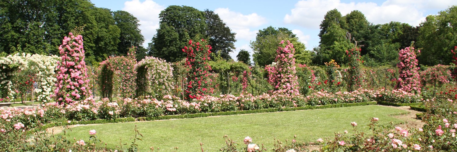 Ryoko Akiyama banner