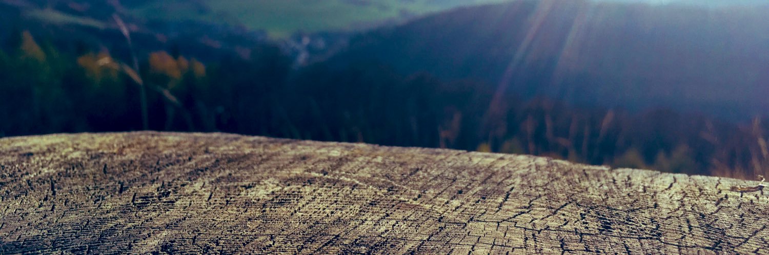 annitwinkle's profile banner image