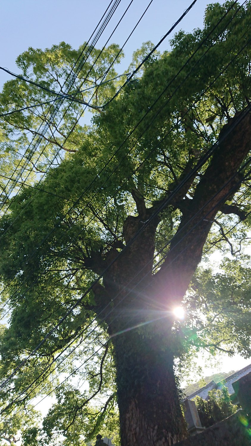 youmagep's profile banner image