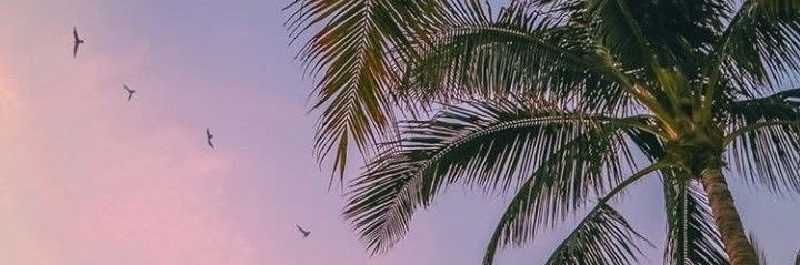 ndrivera09's profile banner image