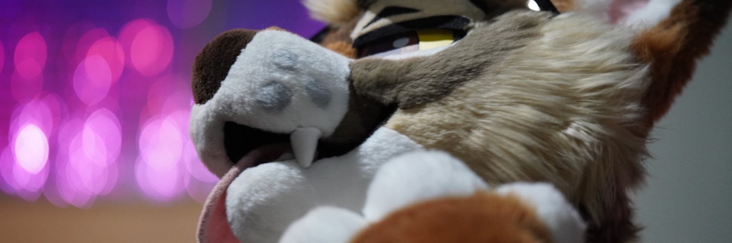 Cedar ✨🌵🔜 MEGAPLEX's banner