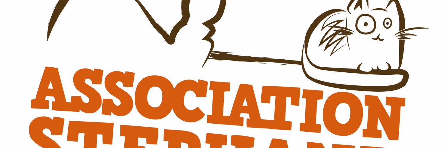 florangeone's profile banner image