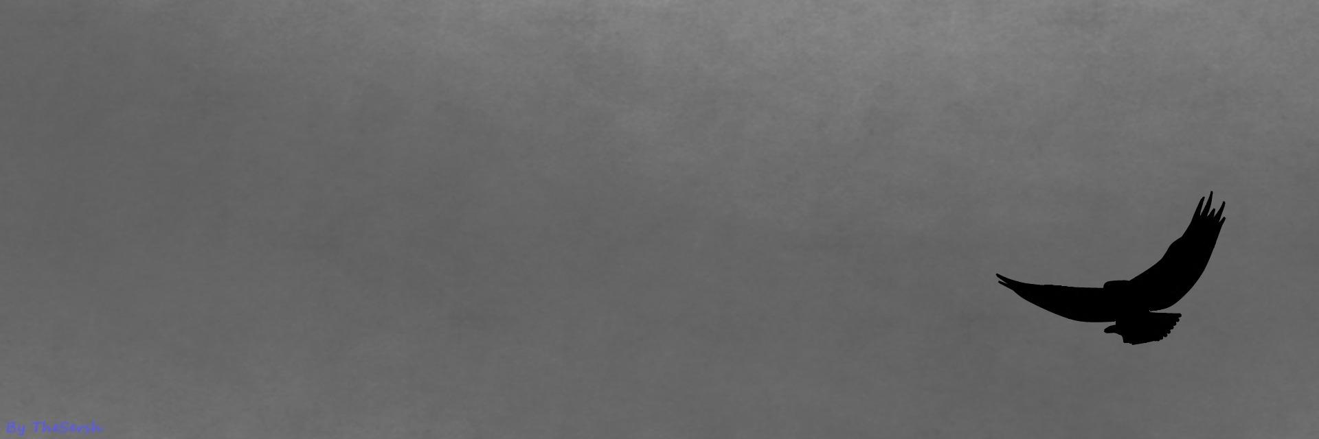 AlienVika's profile banner image