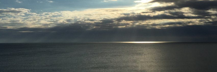 Charlotte Heer Grau banner