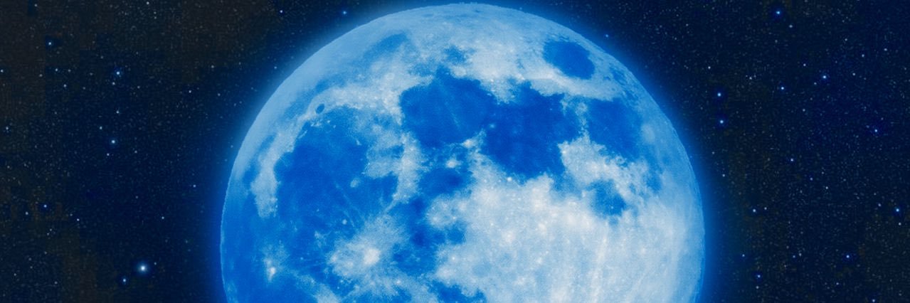 𝘸𝘩𝘰 𝘢𝘳𝘦 𝘺𝘰𝘶 ? banner