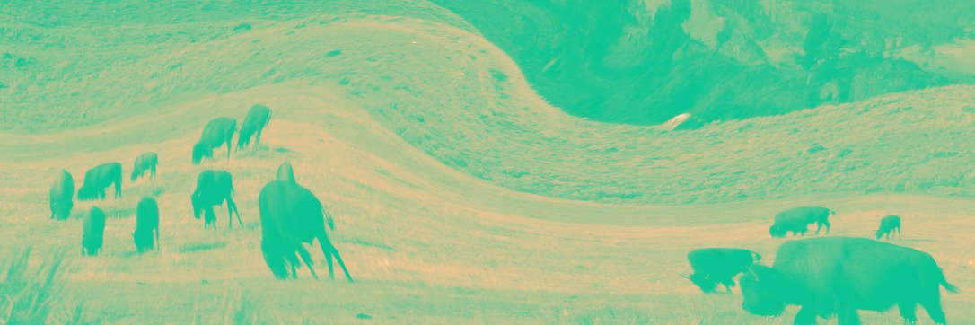 gondry2007's profile banner image