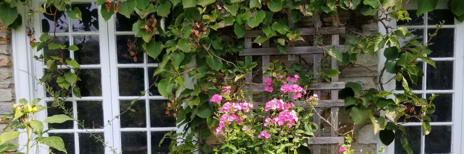 CParkGardens's profile banner image