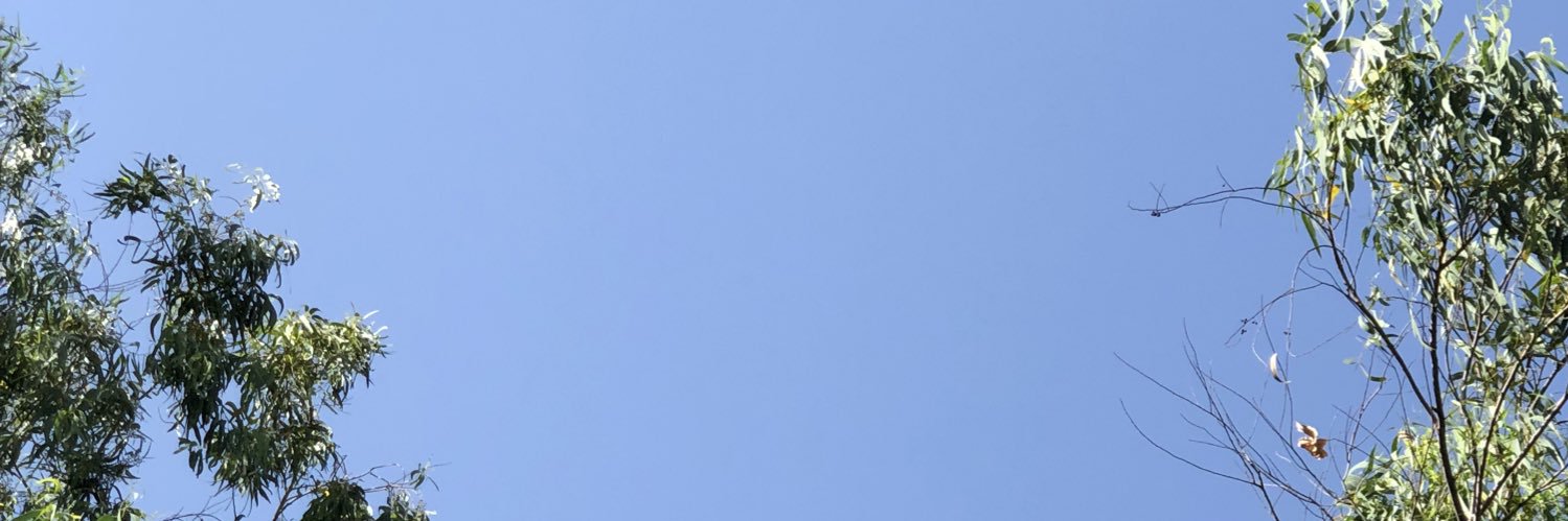Verumun's banner
