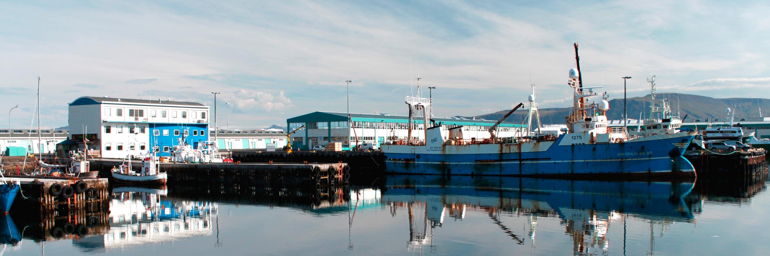 IcelandOceanCluster banner