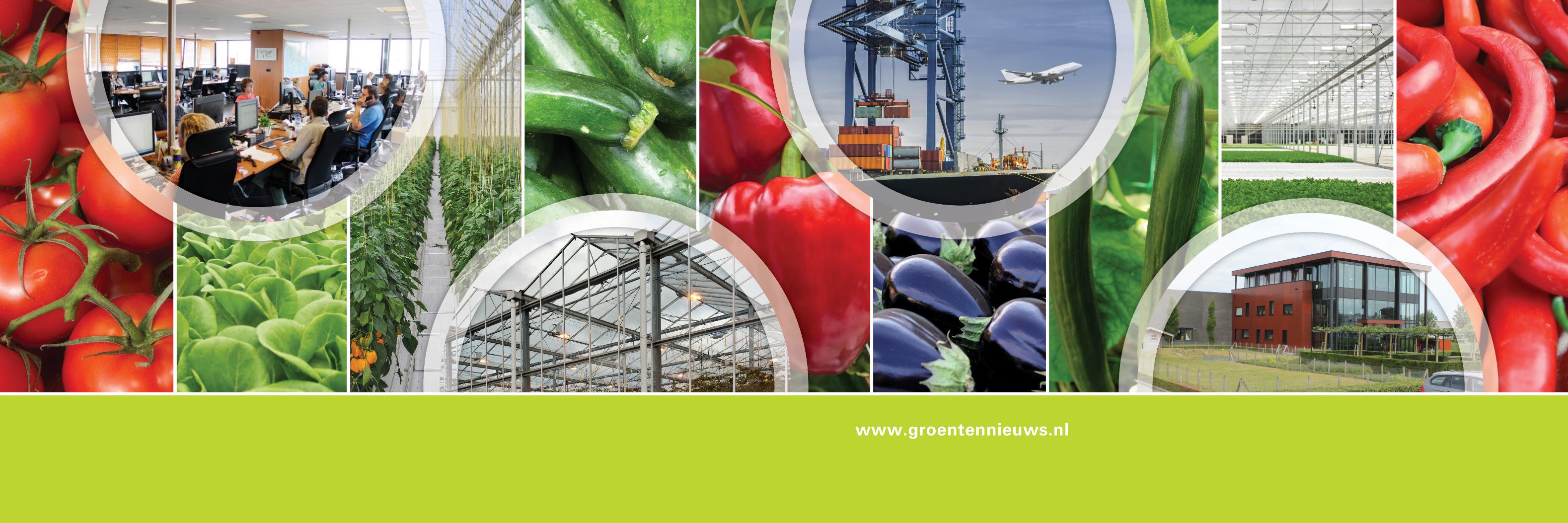 Groentennieuws banner