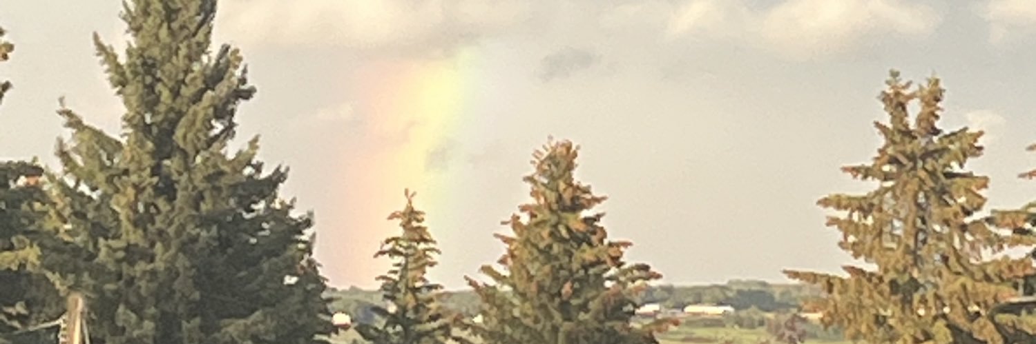 kath 🌸's banner