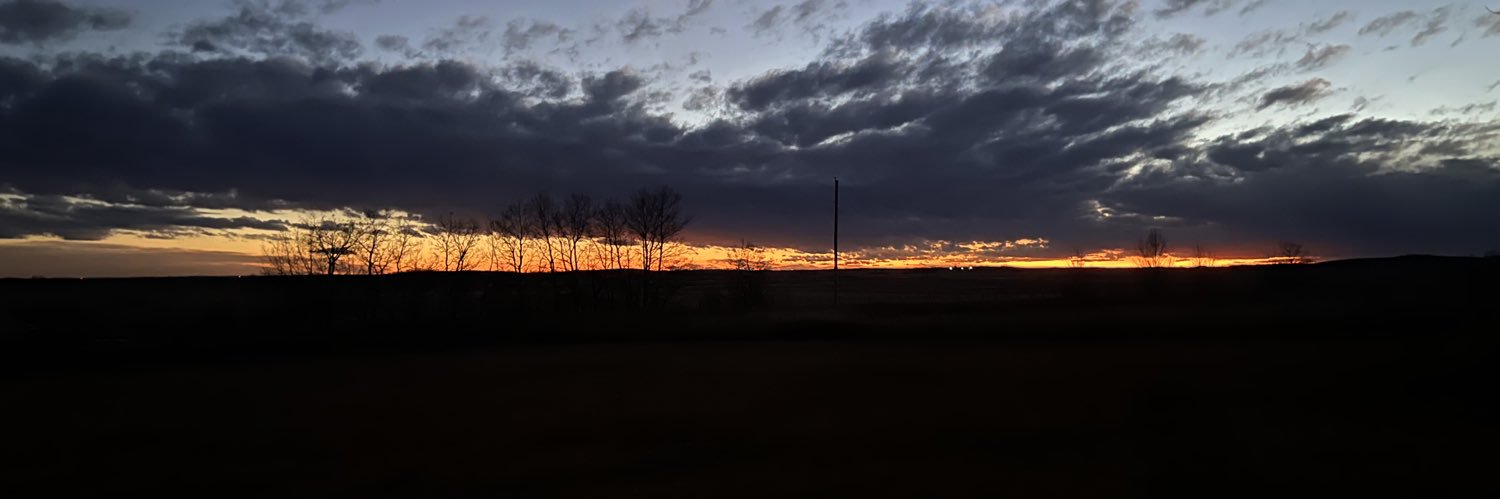 kathryn 🐈‍⬛🌸 banner