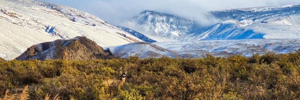 DinosaurNPS Profile Banner