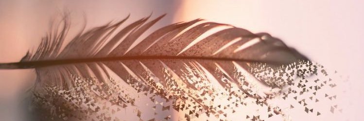 jesi_cel's profile banner image