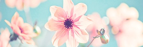 ViviaanD's profile banner image