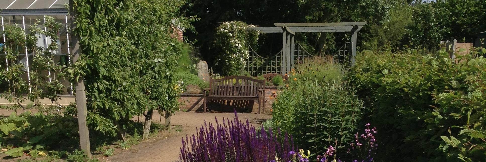 Mires Beck Nursery banner