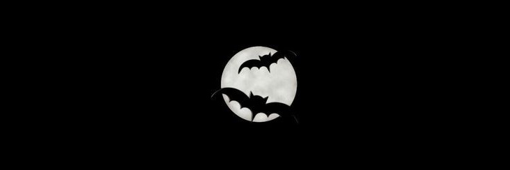 chxseg's profile banner image