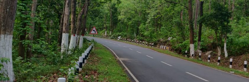 AyushShgt's profile banner image