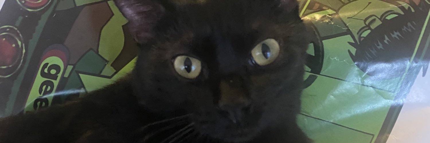 lilly-rose ✿ banner