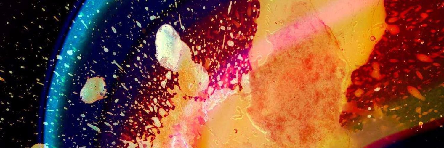 daian_dono's profile banner image